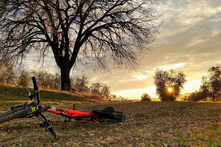 Outdoor Activities 48 of 74