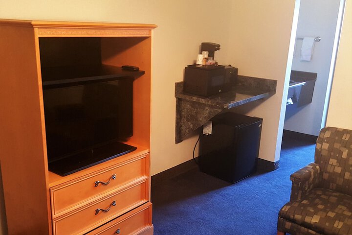 1 King Bed Studio Suite (8 of 20)