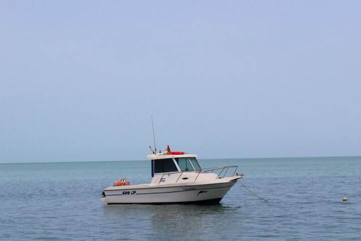 Water Sports 4 of 15