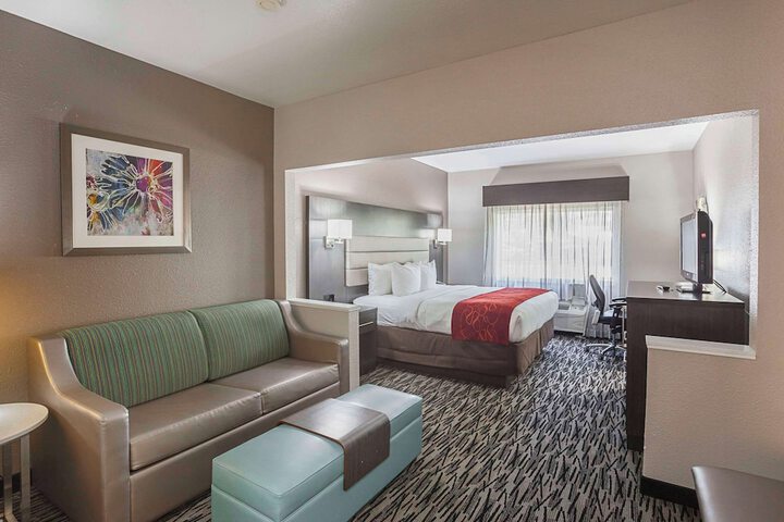 1 King Bed Suite (7 of 21)
