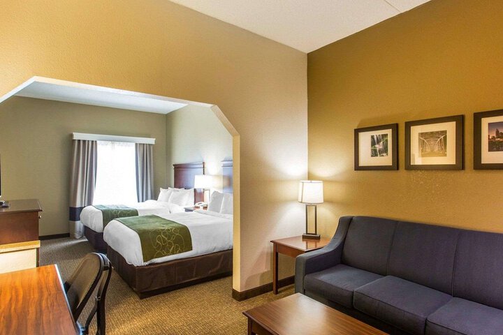 1 King Bed Suite (4 of 16)