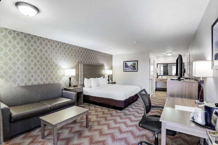1 King Bed Pet Friendly (10 of 36)