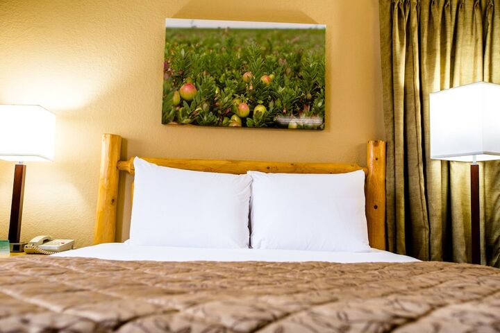 Queen Bed Accessible (4 of 16)