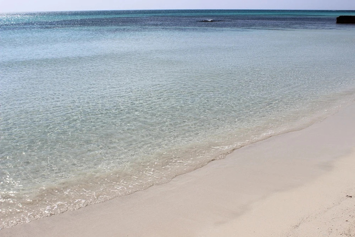 Beach 12 of 19