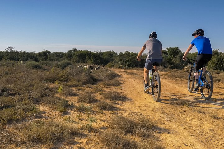 Outdoor Activities 16 of 44