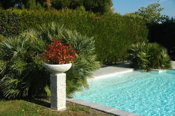 Pool 33 of 62