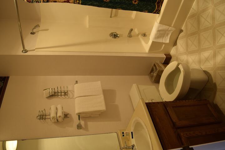 Bathroom shower