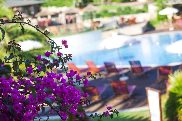 Hotel with Pool