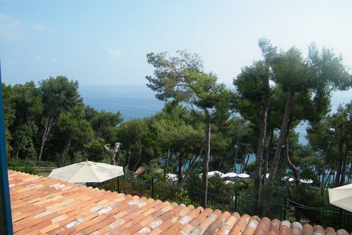 Hotel View 86 of 90