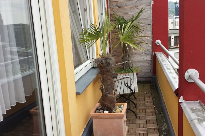 Terrace/Patio 18 of 37