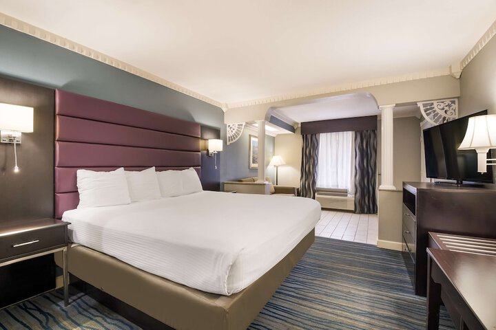 1 King Bed (3 of 19)