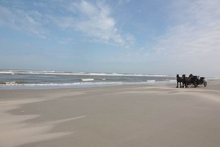 Beach 39 of 48