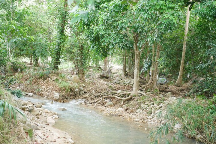 Property Grounds 16 of 28