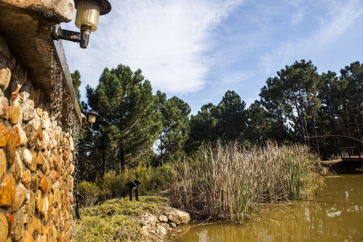 Property Grounds 114 of 142