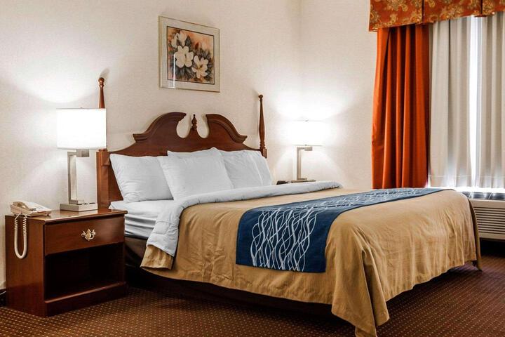 1 King Bed (7 of 9)