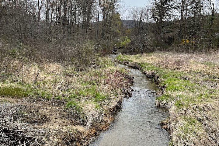 Outdoor Activities 48 of 62