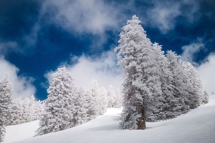 Skiing