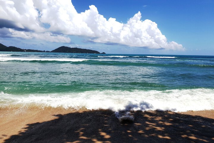 Beach 93 of 98