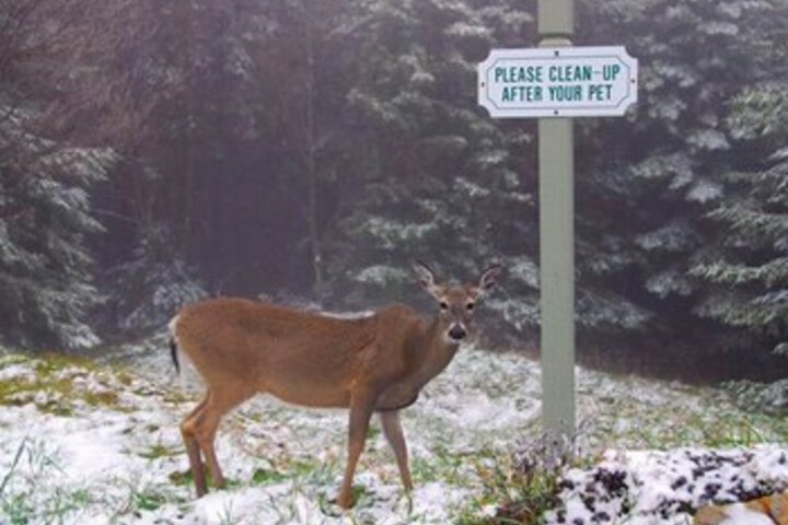 Property Grounds 16 of 24