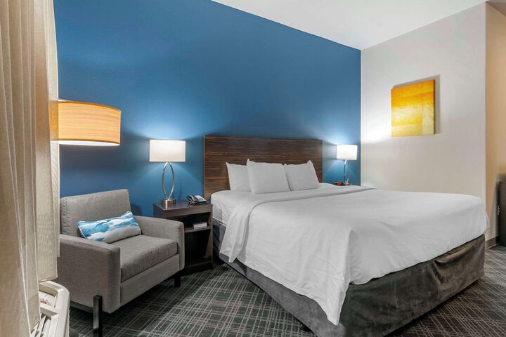1 King Bed Accessible (1 of 13)