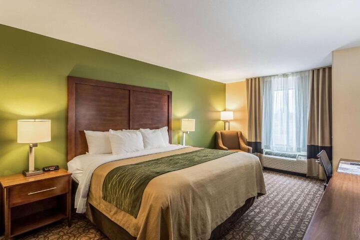Standard | King Bed (3 of 13)