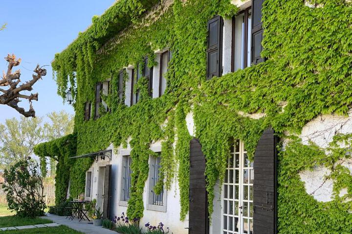 Agriturismo Tra Le Vigne