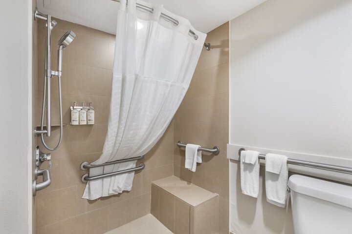 Standard King Bed Accessible (4 of 12)