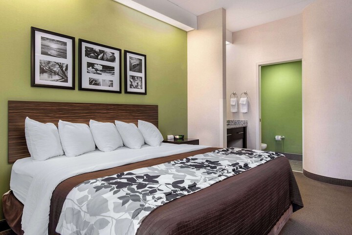 1 King Bed (4 of 7)