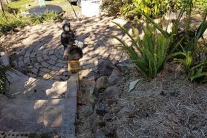 Property Grounds 27 of 28