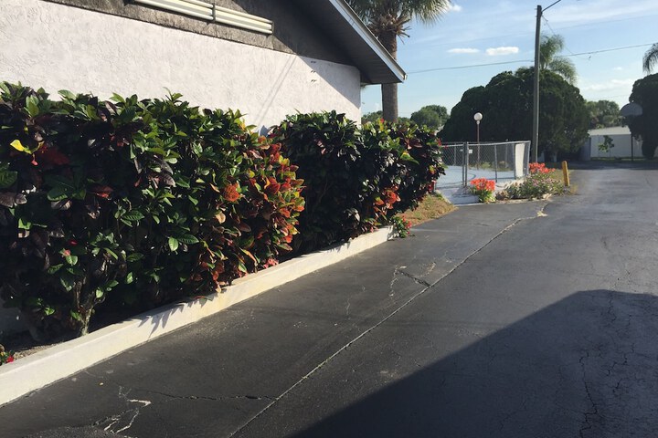 Property Grounds 25 of 31