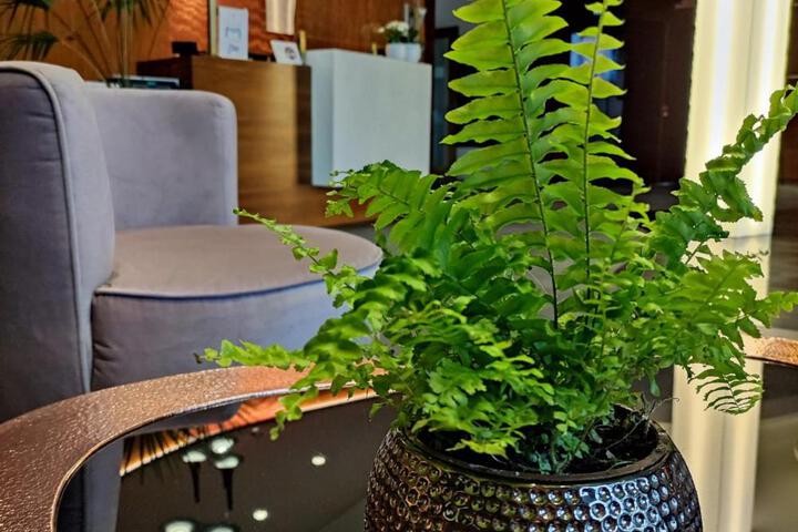 Bazuny Hotel & Spa