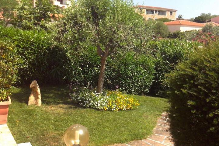 Photo 8