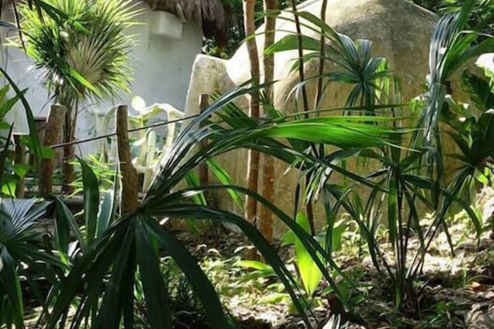 Property Grounds 26 of 26