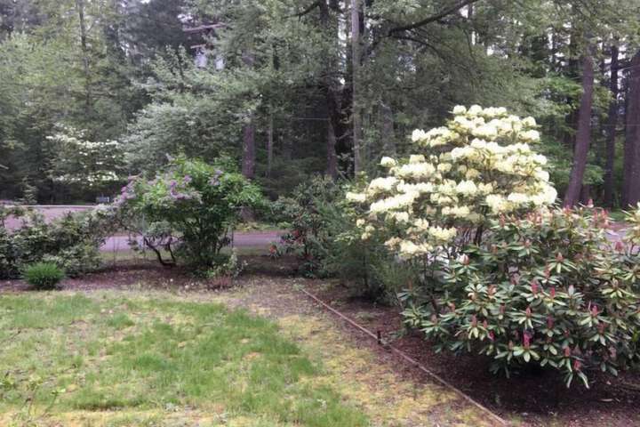 Property Grounds 13 of 17