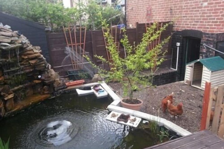 Pool to Cool