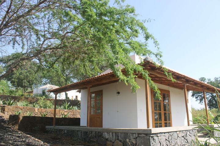 Room 7 of 29