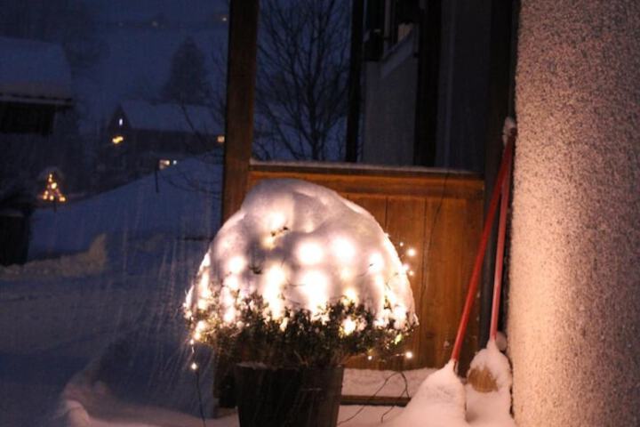Property Grounds 44 of 55