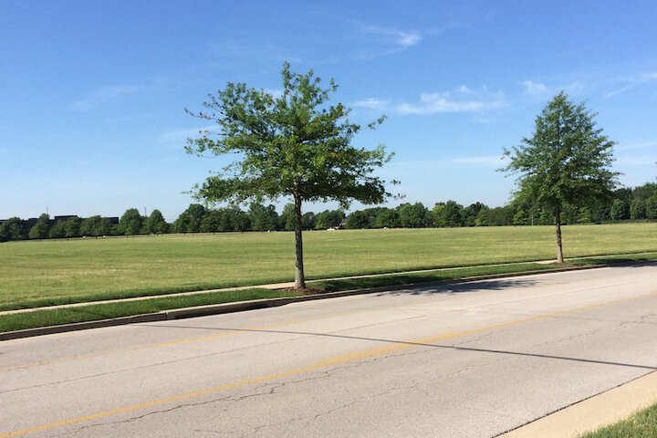 View from property