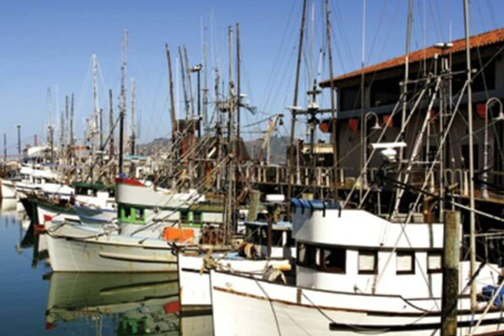 Dock