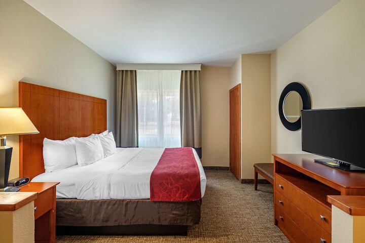 1 King Bed Suite (9 of 44)