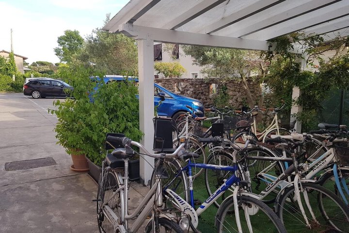 Property Grounds 40 of 51