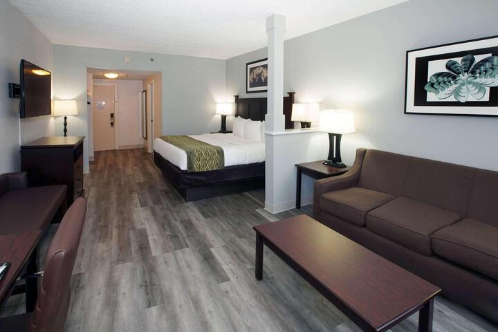 Suite 1 King Bed Sofa Bed Flat Screen Television High Speed Internet Accessible Microwave (15 of 25)