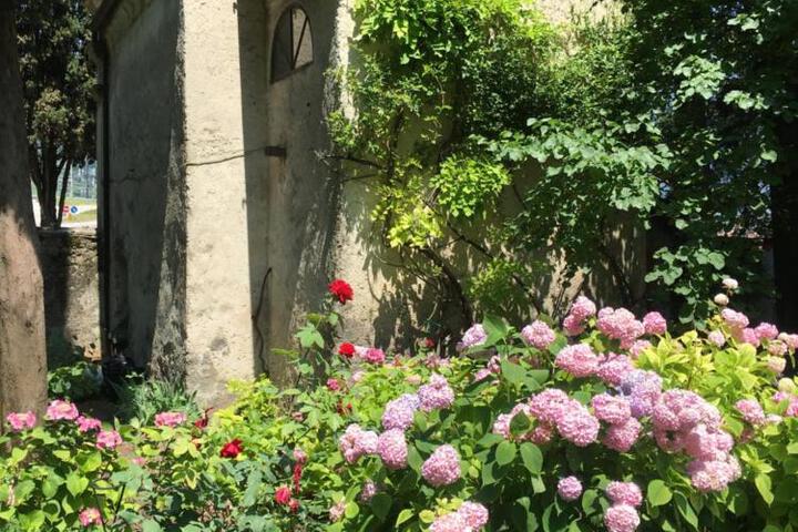 Spa and Wellness Pictures