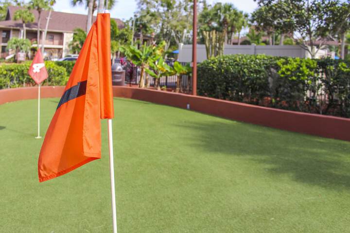 Mini-golf