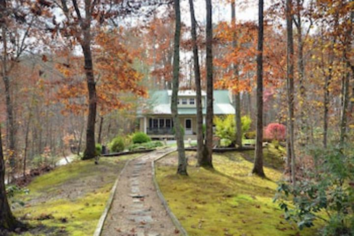 Image of Mountain Elegance