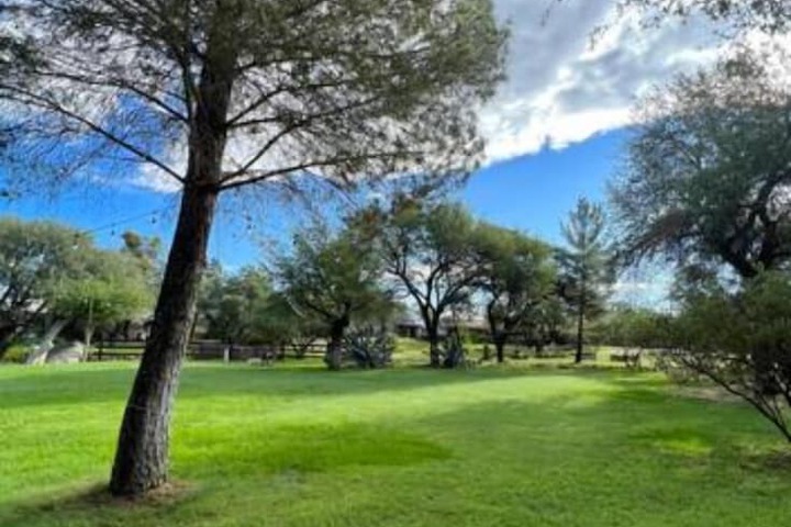 Wedding/Banquet 142 of 155