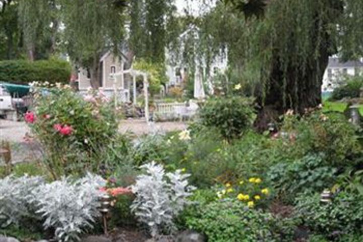 Spa and Wellness Pictures