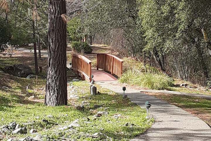 Property Grounds 49 of 51