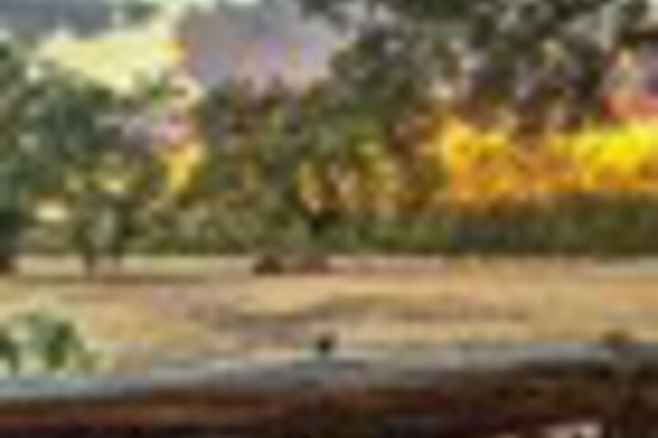 Terrace/Patio 305 of 459