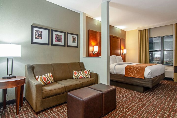 1 King Bed Suite (10 of 23)